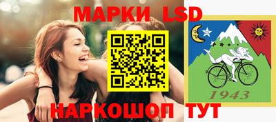 МДПВ Гатчина