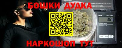 МДПВ Гатчина