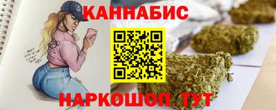 МДПВ Гатчина