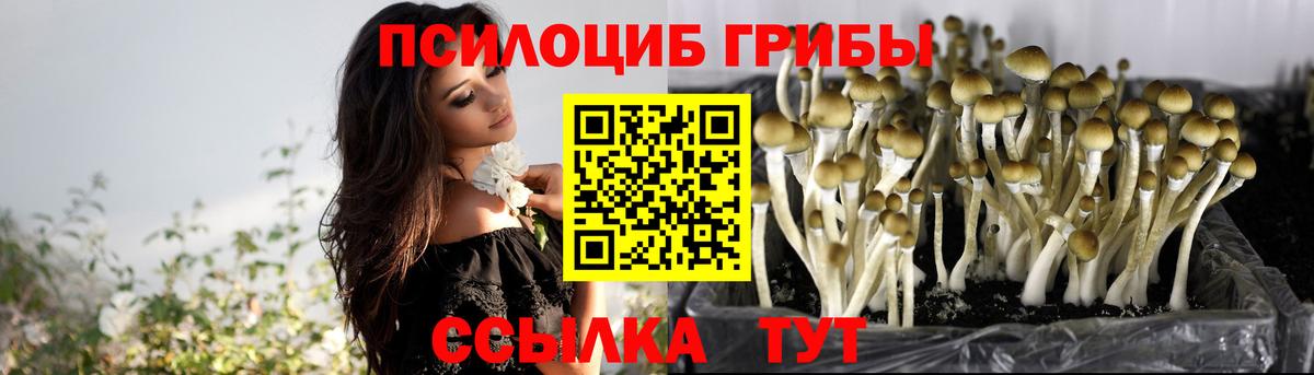 Галлюциногенные грибы прущие грибы Набережные Челны